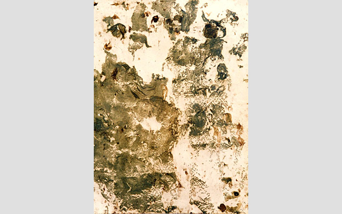 Mould Paintings | Painting 2, 1995